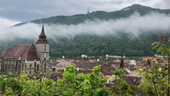Percorri i sentieri selvaggi di Brașov con Daisy e assapora la vita locale