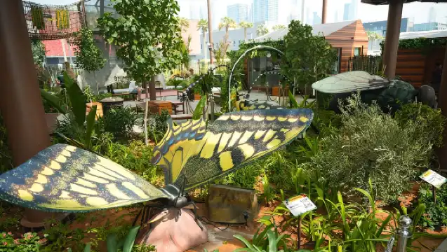 綠色星球－杜拜獨特的室內雨林