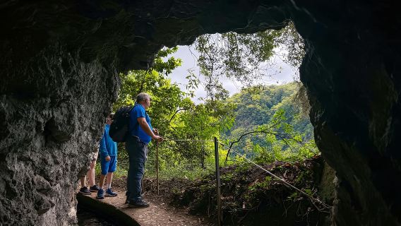 Hiking Madeira: Levada do Rei and the Majestic Laurissilva