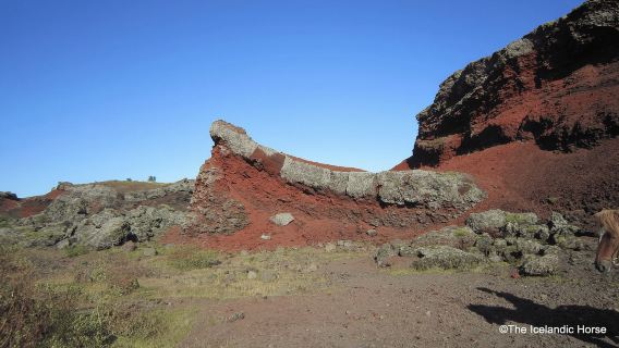 Reikiavik: excursiones a caballo