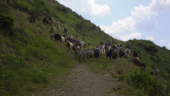 Mirador de Beloi en la garganta de Vikos: caminata de 3 horas