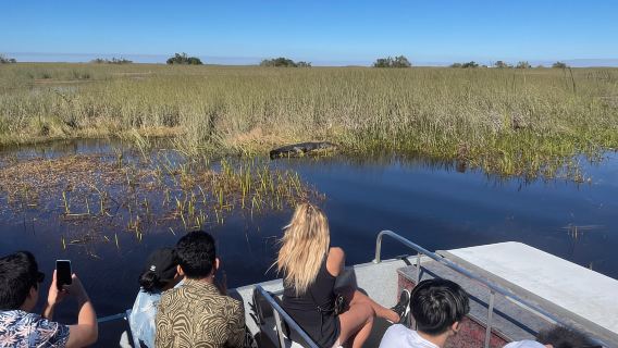 Depuis Miami : excursion en airboat dans les Everglades avec transfert et observation d'alligators