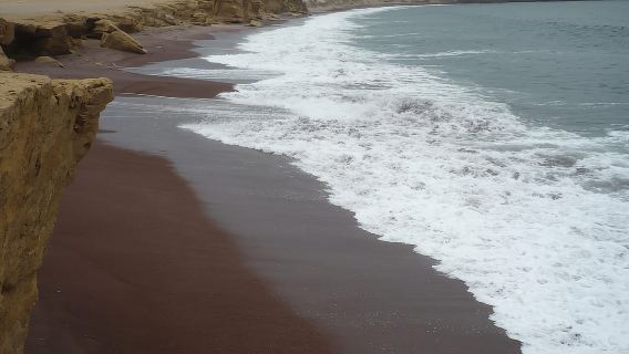 Von TPP Paracas: Inseltour, Paracas Reserve all inclusive