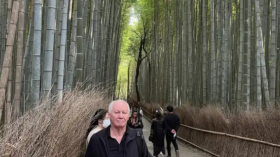 One-Day Walking Tour: Enjoy Kyoto to the Fullest