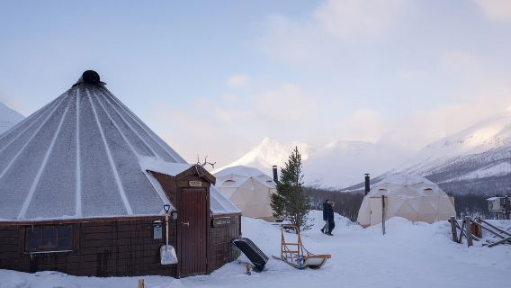 True Locals of the Arctic: Reindeer Sledding at Camp Tamok