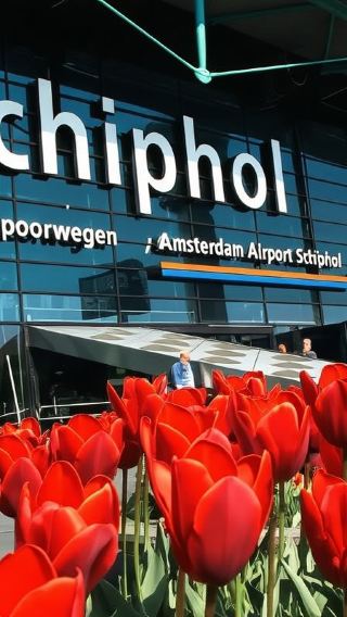 Rotterdam, Delft & Hague 1-day tour (English-speaking group with Chinese audio guide)