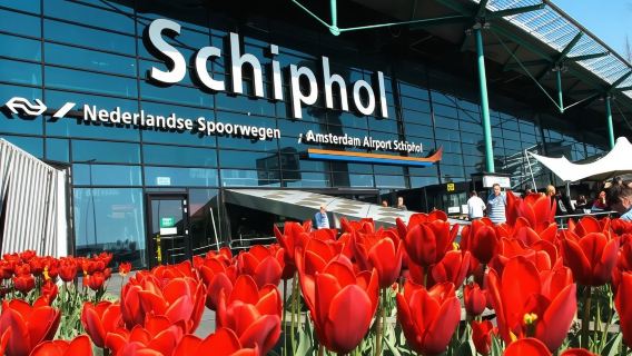 Rotterdam, Delft & Hague 1-day tour (English-speaking group with Chinese audio guide)