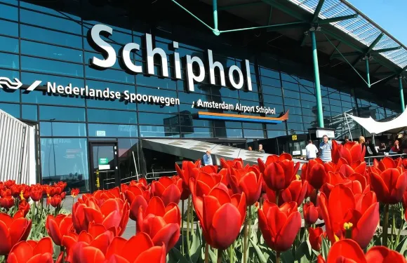 鹿特丹、代爾夫特&海牙一日遊（英文團帶中文語音導覽）