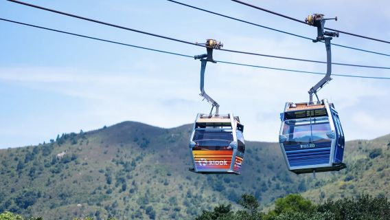 Входной билет на канатную дорогу Ngong Ping 360 в Гонконге - стандартная кабинка/прозрачная кабинка (с полным панорамным обзором)/панорамная кабинка