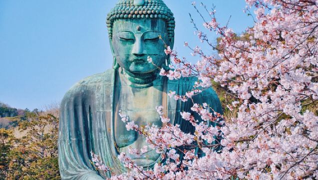 [벚꽃 특별 할인] 가마쿠라 고등학교 앞 + 에노시마 (에노시마전철 체험 증정) + 쓰루가오카하치만궁 당일 치기 여행