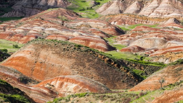 Excursión de un día a las Montañas Arcoíris y David Gareja