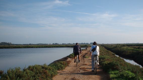 Faro Bike Tour through the Beautiful Ria Formosa