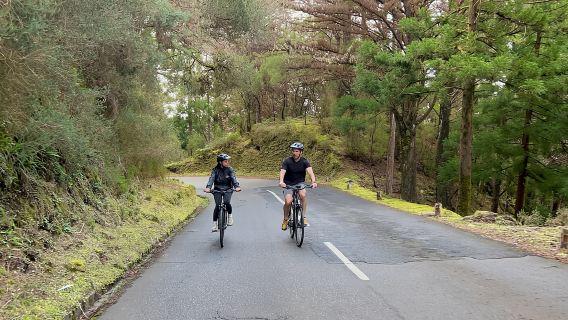 Lingkaran Gunung & Hutan: Camacha, Madeira