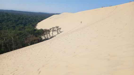 Dune du Pilat, oesters proeven en Arcachon! Wat wil je nog meer?