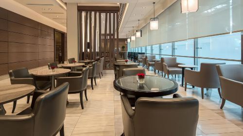 Dubai International Airport VIP lounge pass|transit lounge|VIP transfer overnight|optional dining/shower/rest 7