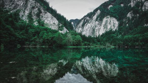 九寨溝神仙池設施+中查溝一日遊九寨出發一單一團含入場門票私享體驗