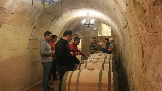 Private Wine Tasting in San Vicente de la Sonsierra