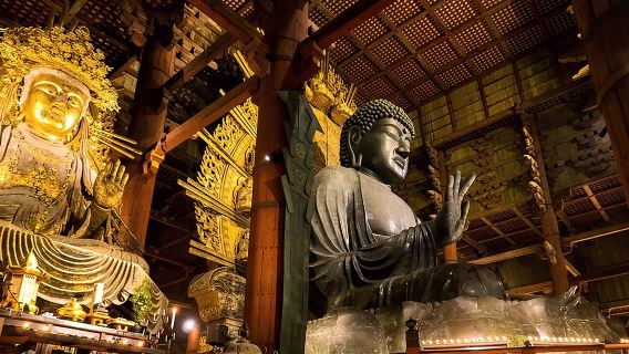 6-stündige private Nara-Tour mit staatlich lizenziertem Reiseleiter