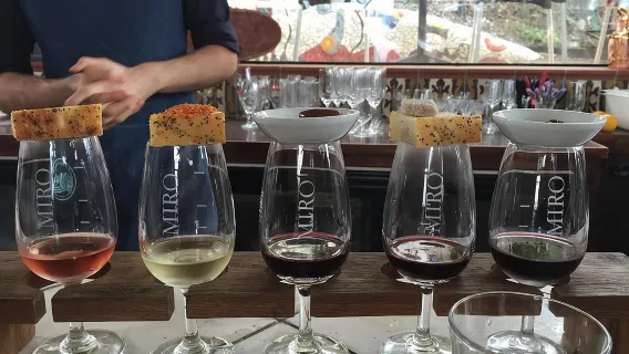 Waiheke Island Weintouren – PREMIUM-Weinprobe, MAXIMAL 11 Teilnehmer!