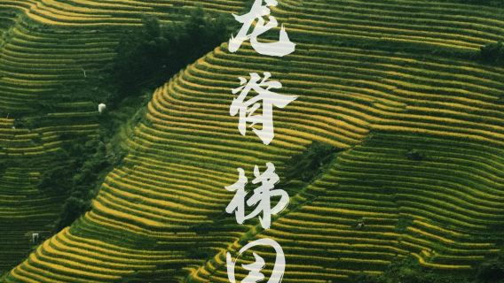 GuilinTours