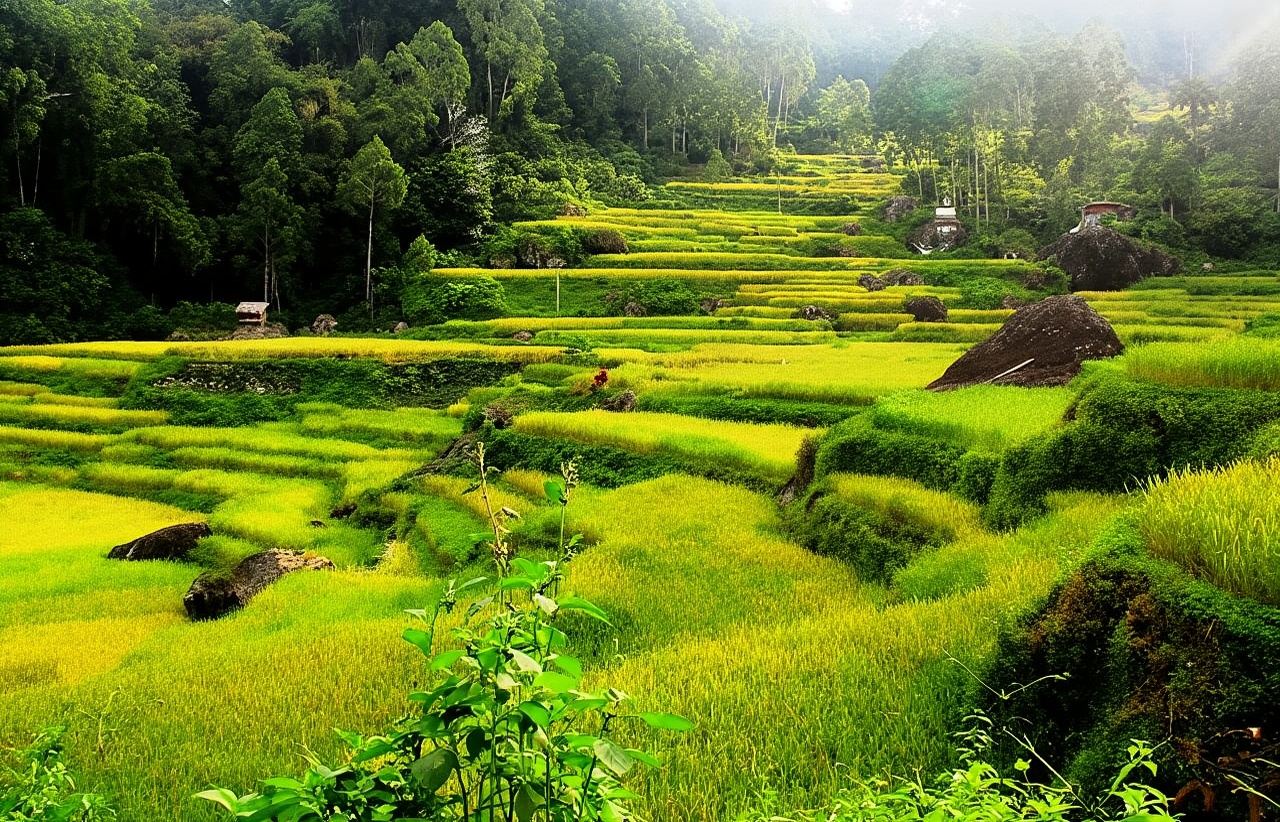 9 Days South Sulawesi to Explore Majestic Culture Heritage and Hidden Gems of Nature