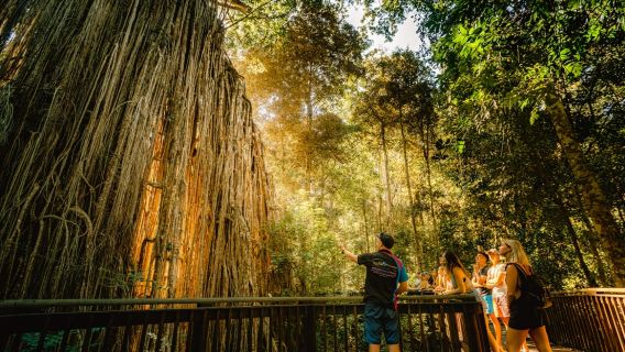 ทัวร์วันเดียว/ทัวร์หลายวัน ชมน้ำตกและป่าฝนที่ Atherton Tablelands จากแคนส์
