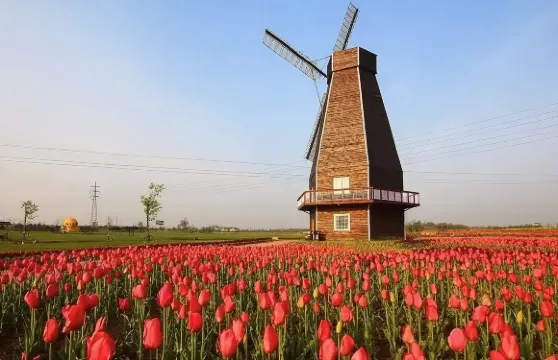 斯哈亨深度包車遊：從音樂花園到維京馬車博物館