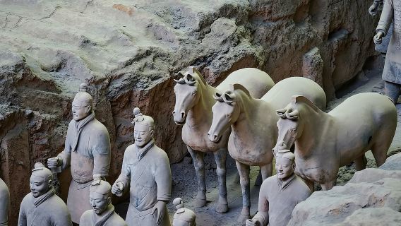 Besuchen Sie die Terrakotta-Armee, genießen Sie das spezielle Knödelbankett und sehen Sie die Tang-Dynastie-Gesangs- und Tanzaufführung im Tang Le Gong.