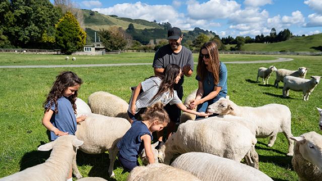 Agrodome Farm Experience including Farm Show and Farm Tour - Rotorua