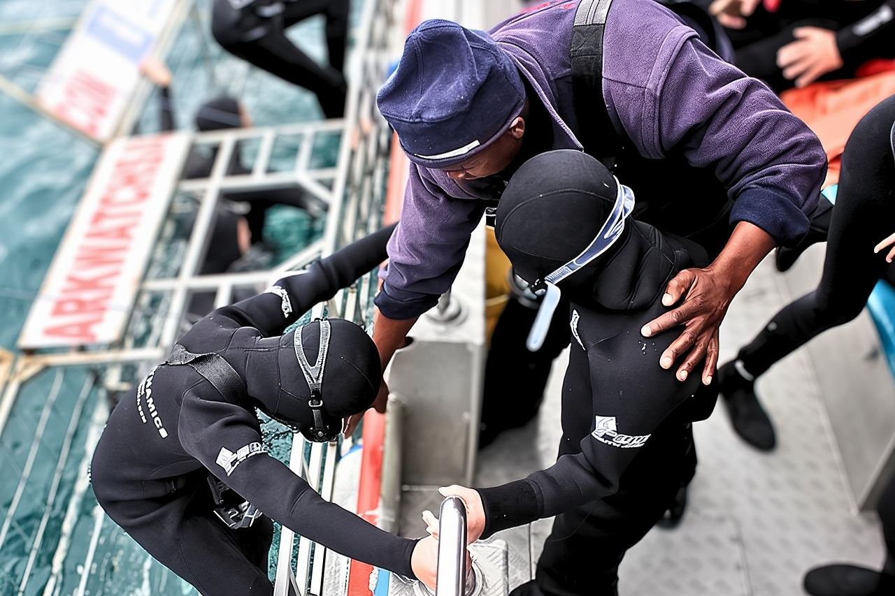 Menyelam dan Melihat Hiu di Dalam Sangkar dengan transportasi dari Hermanus