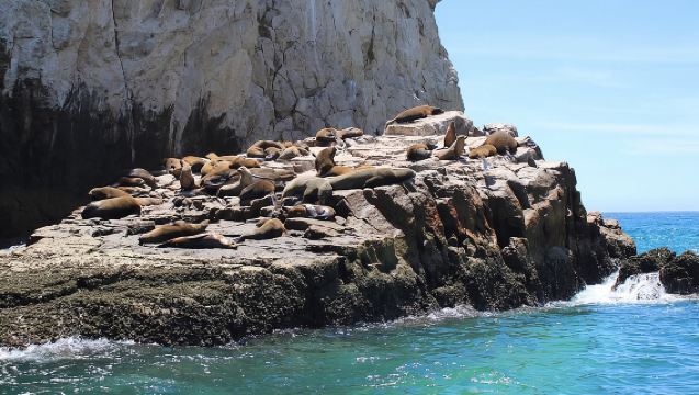 Tour compartido al Arco de Cabo San Lucas