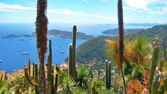 excursión de un día a la Riviera Francesa desde Niza (Eze + Mónaco + Antibes + Cannes)