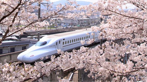 [2025 Edition] JR PASS Kansai Wide Area Rail Pass 5-Tage-Ticket + Ticket für die atemberaubenden Landschaften von "Kyoto am Meer" in der Präfektur Kyoto