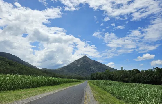 開恩茲迪納魯湖+鴨嘴獸夜遊【中文司導+市區多站點免費接送】