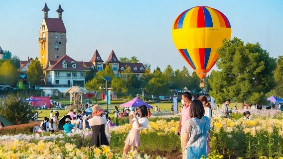 蔡甸花博匯賞花夜遊一日遊