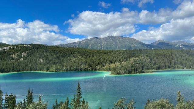 Skagway: Yukon Discovery Tour