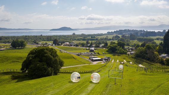 Rotorua: ZORB Inflatable Ball Rides