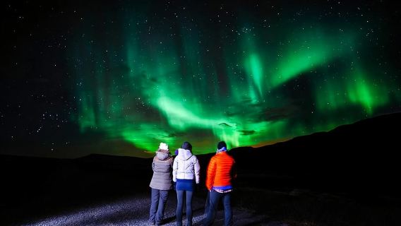 Levi: Northern Lights Hunt Including Campfire Snacks