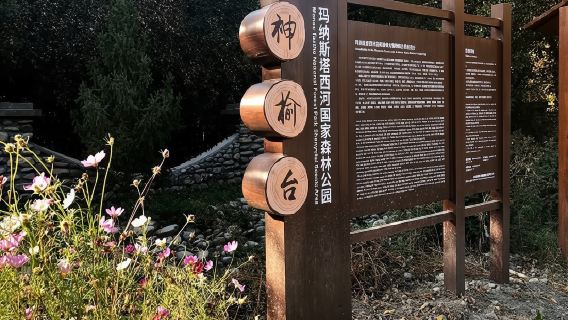昌吉回族自治州瑪納斯國家森林公園神榆台景區·過夜露營位【露營地租賃費】