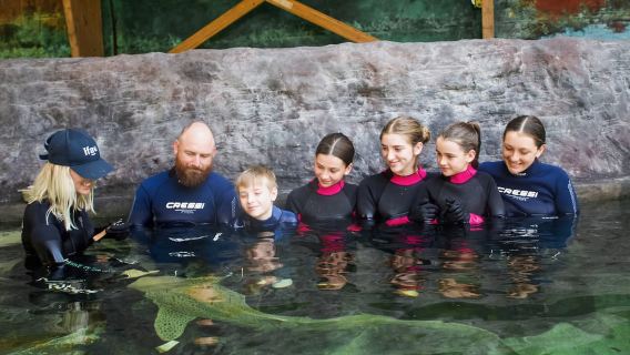 Anna Bay: Irukandji-Eintrittskarte mit Zebrahai-Begegnung