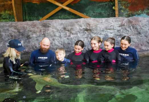 Anna Bay: Irukandji Entry Pass with Zebra Shark Encounter