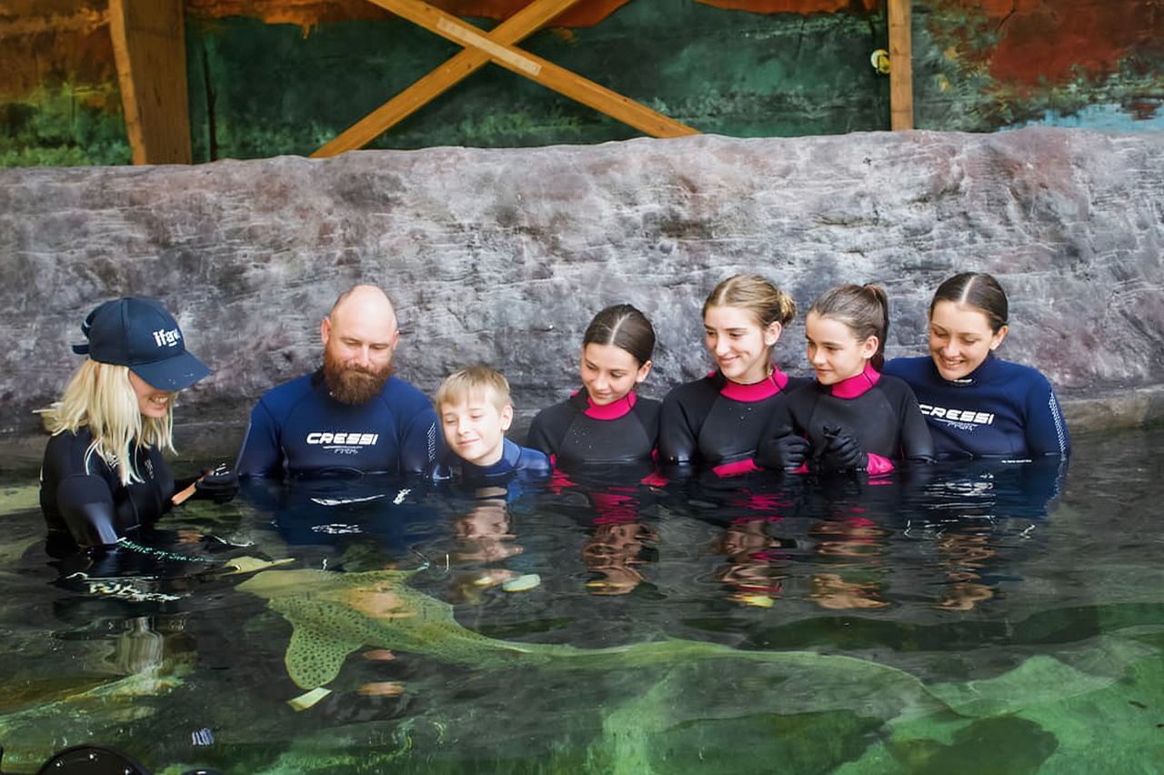 อ่าวแอนนา: บัตรผ่านเข้าอิรุคันจิพร้อมชมฉลามม้าลาย