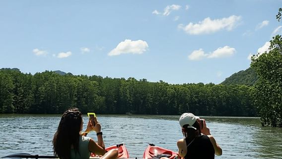 Langkawi: tour in kayak nella mangrovia della Kilim Geoforest con pranzo