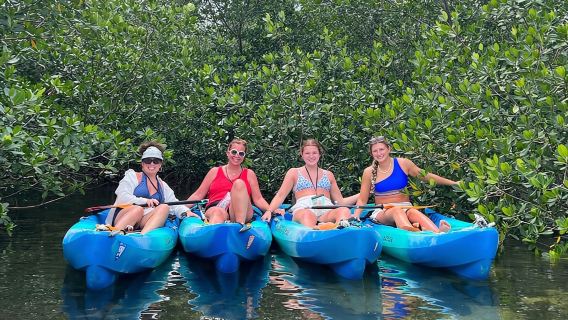 Key West: tour in kayak di 2 ore tra le mangrovie
