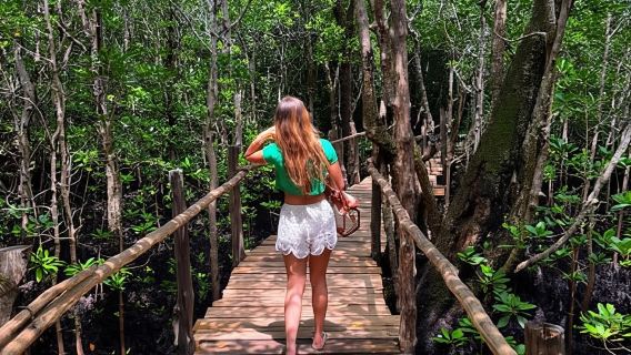 Zanzibar: Jozani Forest & Sea Tortoises Sanctuary Tour