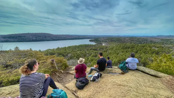 Escursione al Parco Algonquin: tour avventuroso da Toronto