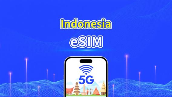 Indonesia eSIM | 5G/4G | Daily/Total Data Package | 1-30 days | Natural day Billing | QR code