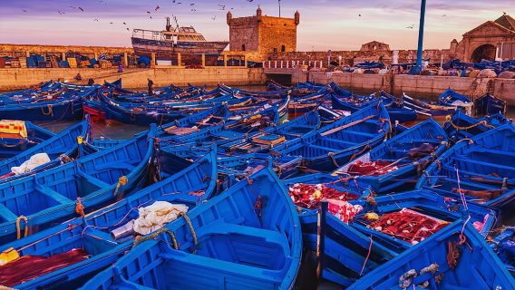 Excursión de un día a Essaouira desde Marrakech