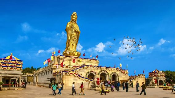 Putuo Mountain Scenic Area in-park commentary