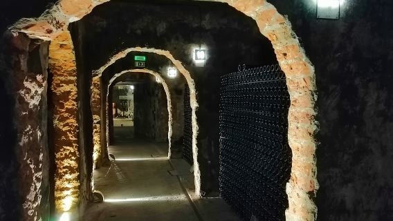 Route des vignobles de Bairrada, à une demi-journée de Coimbra